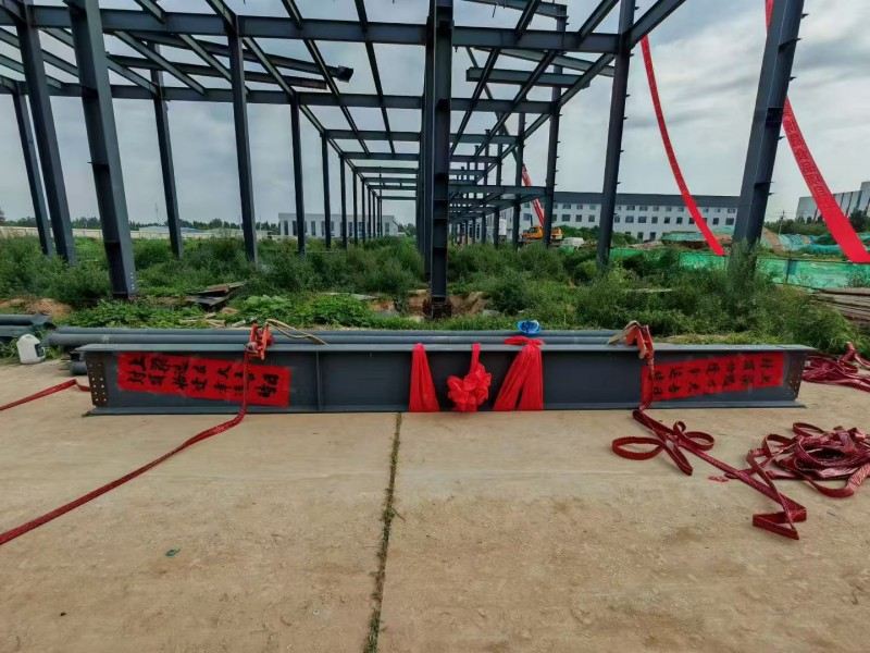 Yongcheng Xingye Steel Struction Company gyorsított a Hebei Bosheng Food Workshop felépítésével